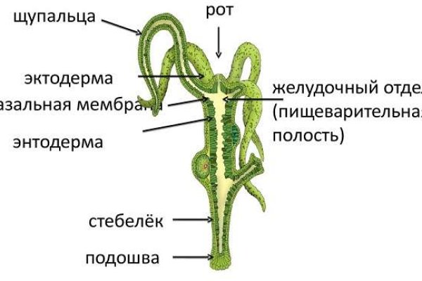 Ссылка на кракен тор магазин