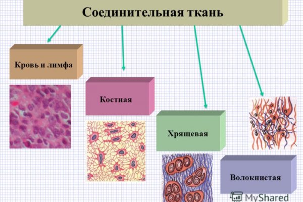 Кракен гидра даркнет